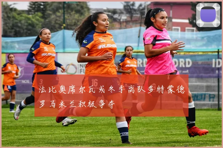 法比奥席尔瓦或冬季离队多特蒙德罗马米兰积极争夺