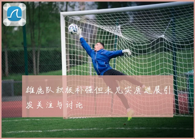 雄鹿队积极补强但未见实质进展引发关注与讨论