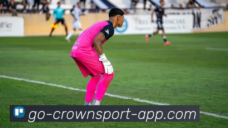 皇冠体育平台生态图